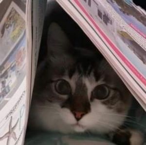 Meet your Posher, Linda